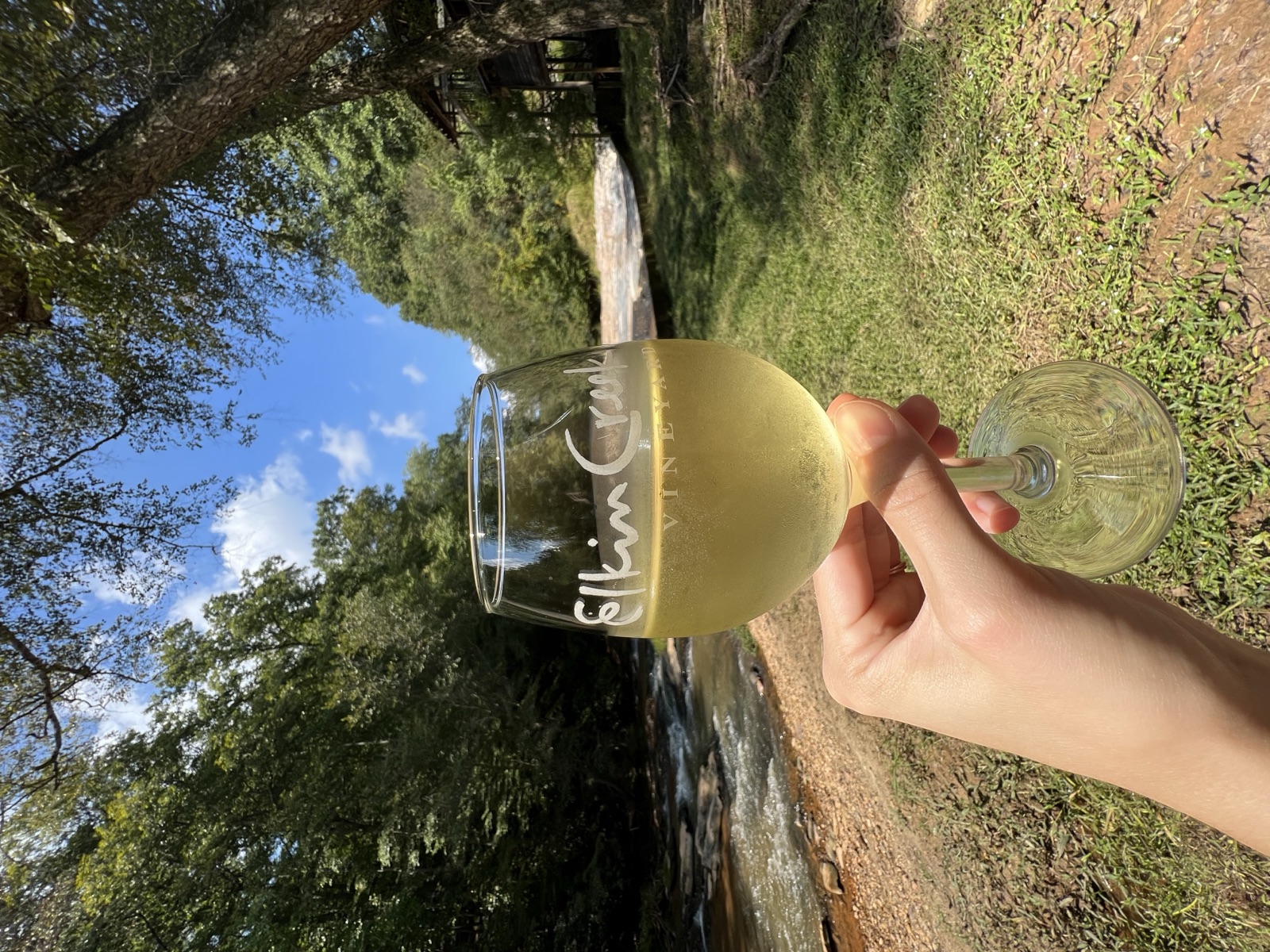 Elkin NC Yadkin Valley wine country